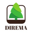 Logo de DIREMA